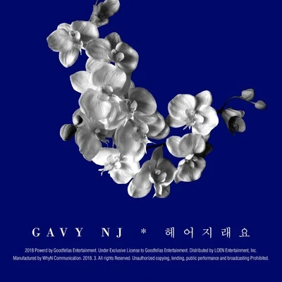 Gavy NJ 헤어지래요