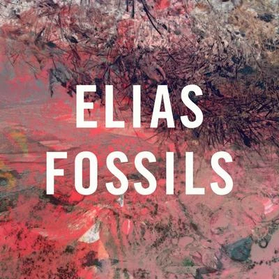 Fossils 專輯 Elias/Nathan/BIBI/Mïrändä/Mary Luz