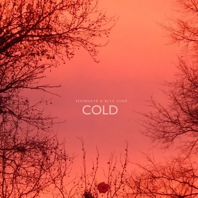 Cold 專輯 senojnayr