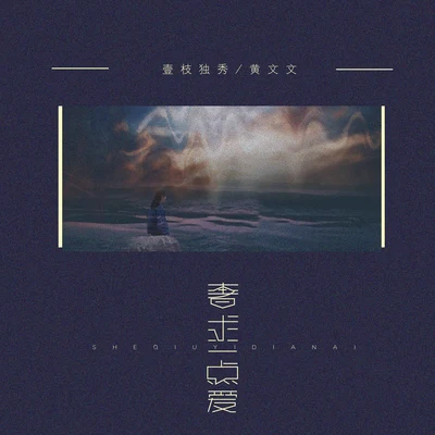 黄文文/壹枝独秀 奢求一点爱