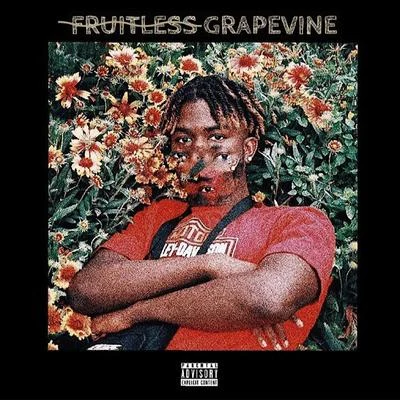 Fruitless Grapevine 專輯 UD