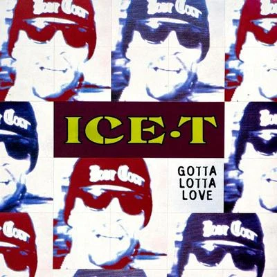 Gotta Lotta Love 專輯 Ice T