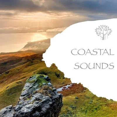 Coastal Sounds 专辑 Natural Spirit/Nature Sounds/Mother Nature FX