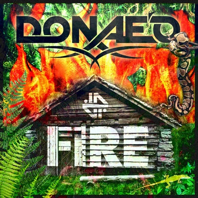 Fire 专辑 Donae'o