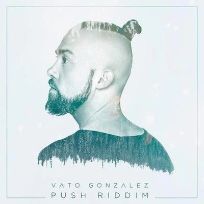 Push Riddim (Original Mix) 專輯 Vato Gonzalez