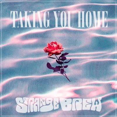 Taking You Home 專輯 STRANGE BREW/Planet Asia/Bigg Limn/Mic Stylz/Bobby Brewski