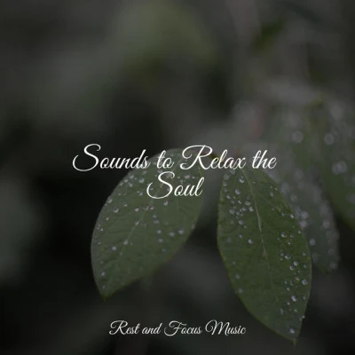 Sounds to Relax the Soul 專輯 Meditation Relaxation Club/Rain/Rain Sounds/Nature Sounds/Masters of Binaurality