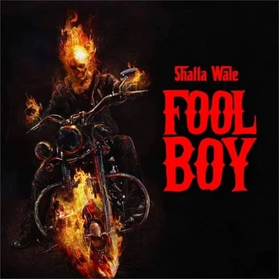 Fool Boy 專輯 Nina Browwn/Shatta Wale