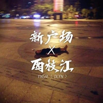 西枝江（楊花大橋Remix） 專輯 大D(DLyn)