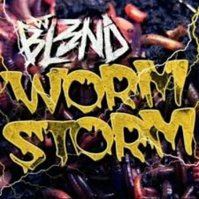 Worm Storm 专辑 DJ Bl3nd/Ido B & Zooki