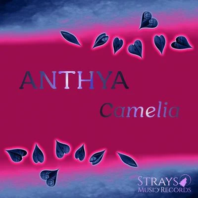 Anthya Camelia