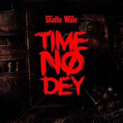 Time No Dey 專輯 Shatta Wale