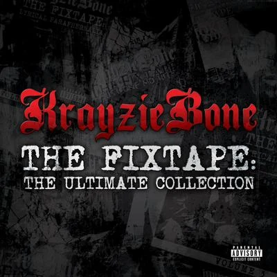 The Fixtape: Ultimate Collection 專輯 Krayzie Bone/Kimberly Wyatt/Lady Gaga/Akon/Sam Sparro