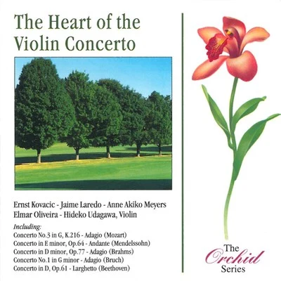 The Heart Of The Violin Concerto 专辑 Scottish Chamber Orchestra