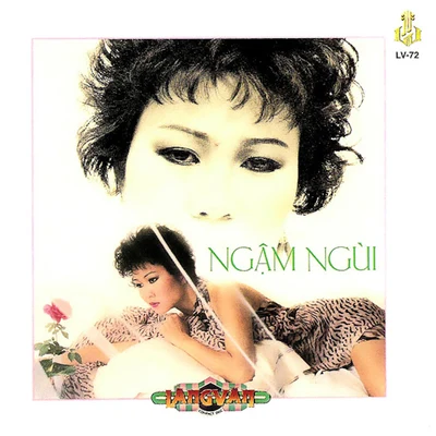 Ngậm Ngùi 专辑 Kim Anh/Duy Quang