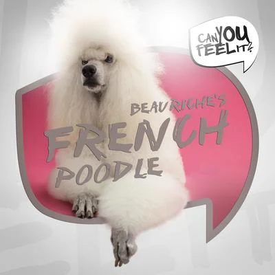 French Poodle 專輯 Beauriche