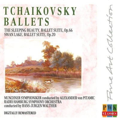 Alexander Von PitamicPyotr Ilyich TchaikovskySouth German Philharmonic Orchestra Tchaikovsky: The Sleeping Beauty & Swan Lake