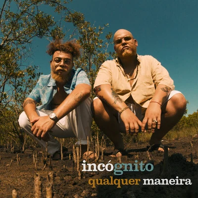 Qualquer Maneira 专辑 INCOGNITO