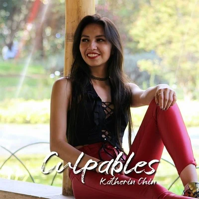 Culpables 专辑 Tinna Rey/Boybek/Monia/Katamaran/Juan José Salazar