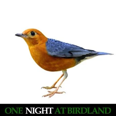 One Night at Birdland (Live) 專輯 Bud Powell