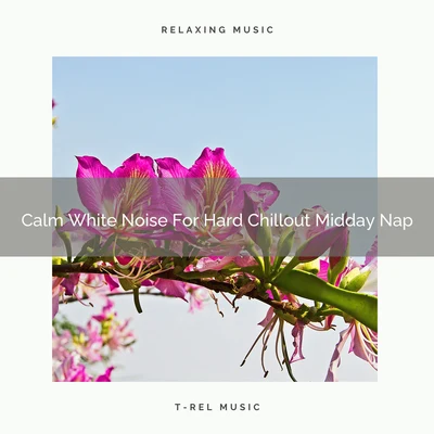 Calm White Noise For Hard Chillout Midday Nap 专辑 White Noise Relaxation