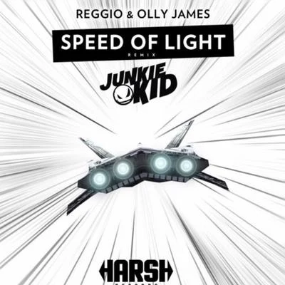 Speed Of Light (Junkie Kid Remix) 专辑 Junkie Kid