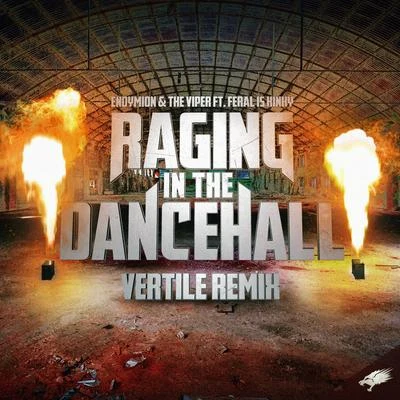 Raging in the Dancehall (Vertile Remix) 專輯 G-Town Madness/The Viper