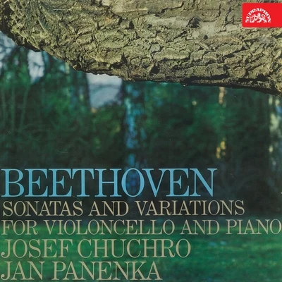 Josef ChuchroEdvard Hagerup GriegJosef Hala Beethoven: Sonatas and Variations for Cello and Piano