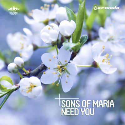 Need You 专辑 Sons Of Maria/Funkemotion/Tommy the Sound/jonse/Serge S