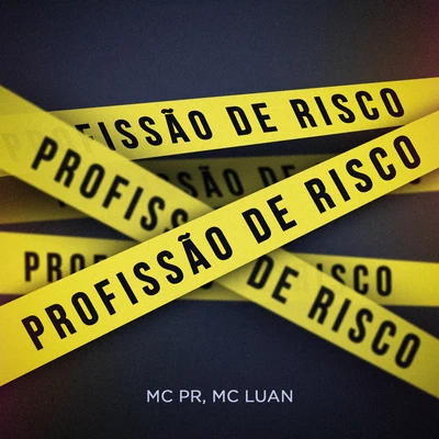 Profissão de Risco 專輯 Mc Andrewzinho/Mc Luan