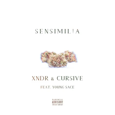 Sensimilia (feat. Young Sace) 專輯 Cursive