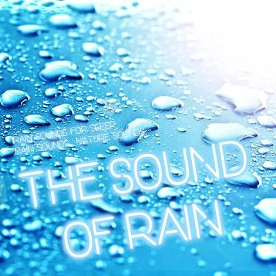 Nature Sounds The Sound of Rain