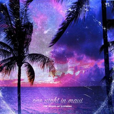 One Night In Maui 專輯 DJ.Fresh/Freddie Gibbs