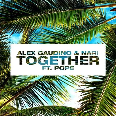 Together 專輯 Alex Gaudino