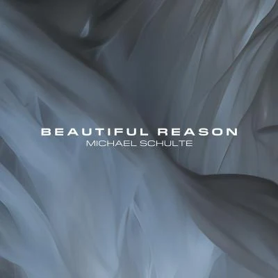 Michael Schulte Beautiful Reason