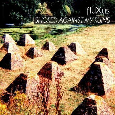 Shored Against My Ruins 专辑 FLUXUS