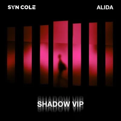 Shadow (VIP Mix) 专辑 Alida/Maybon