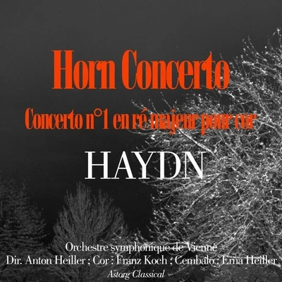 Haydn : Horn concerto No. 1 en ré majeur pour cor 专辑 Helen Schnabel/Orchestre Symphonique de Vienne