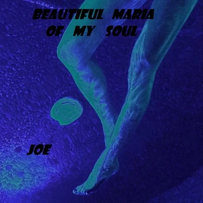 Beautiful Maria of My Soul 專輯 JOe (支十六)/Lotic/LOGOS/Optic Nerve/Sophie