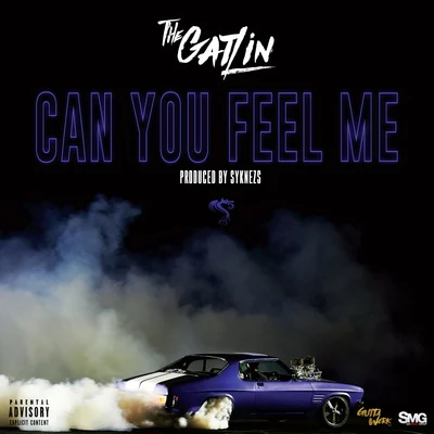 Can You Feel Me 專輯 The Gatlin/Robbie Diesel