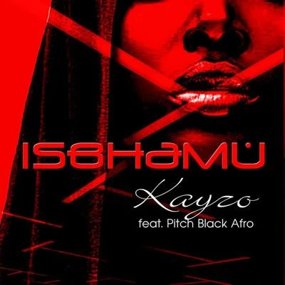 Isbhamu (feat. Pitch Black Afro) 專輯 Kayzo