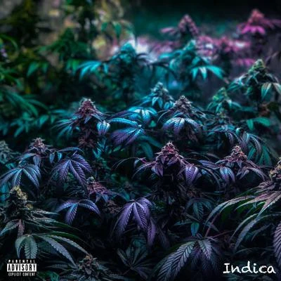 Indica - EP 專輯 TMack/Young Dolph/MJG