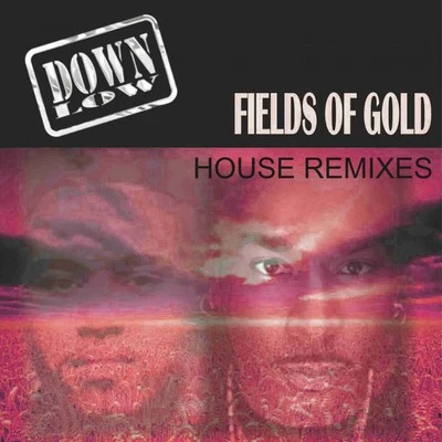 Fields of Gold (Remixes) 專輯 Down Low/lolita jolie/J3n5on/Hardwell/Moguai