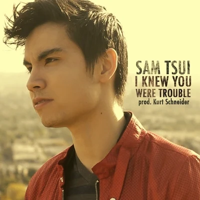 I Knew You Were Trouble 專輯 Sam Tsui