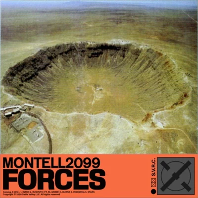 montell2099sysyi FORCES