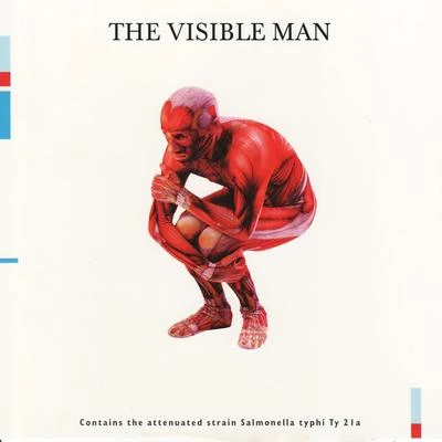 David Byrne The Visible Man