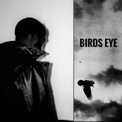 BIRDS EYE 专辑 Nas Leber/Salomon Faye