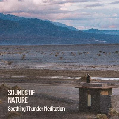 Sounds of Nature: Soothing Thunder Meditation 专辑 Rest & Relax Nature Sounds Artists