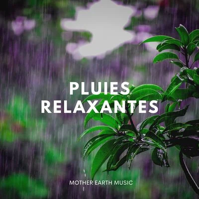 Pluies Relaxantes 專輯 Spa Musique Collection/Zen Méditation Ambiance