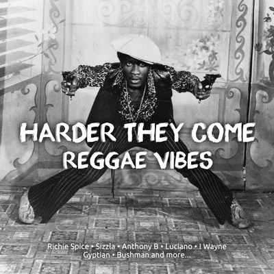 Harder They come Reggae Vibes 專輯 Anthony B/Danakil/Volodia/Flavia Coelho/Josh